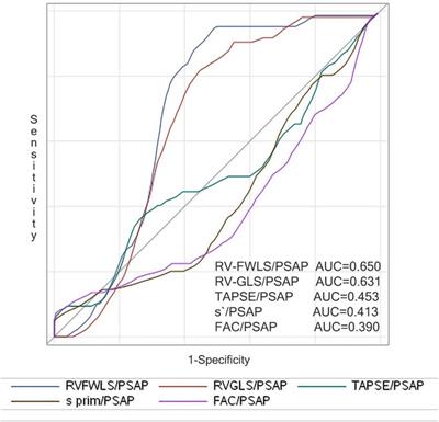 Right ventricle to pulmonary artery coupling after transcatheter aortic valve implantation—Determinant factors and prognostic impact